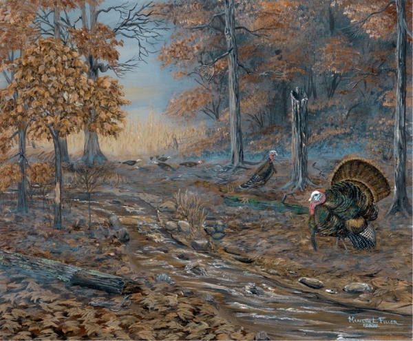 Click here to view Old Gobbler at Crooked Creek by Marilyn L. Lindemann