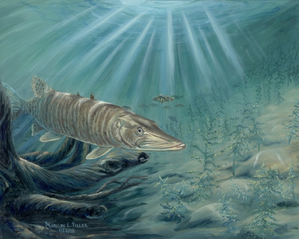 Click here to view Wildlife artwork by Marilyn L. Lindemann