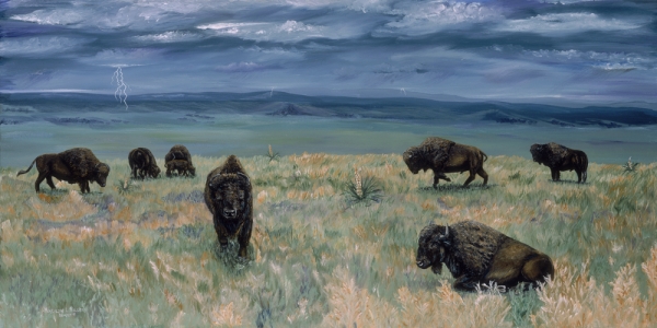 Click here to view Legacy of the Plains by Marilyn L. Lindemann